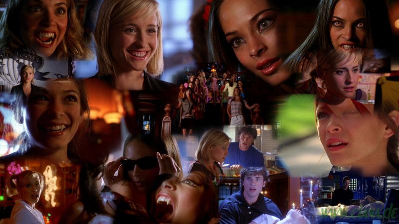 Smallville S05E05Collage.jpg